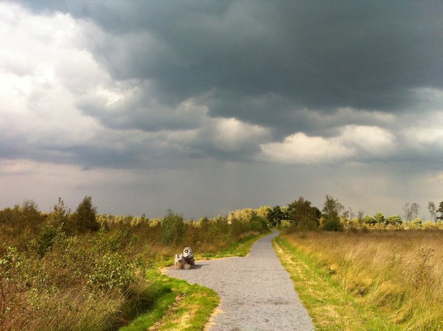 De Groote Peel, The Netherlands