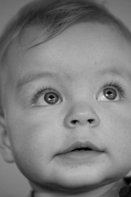 Fenna 22dec12-43.jpg