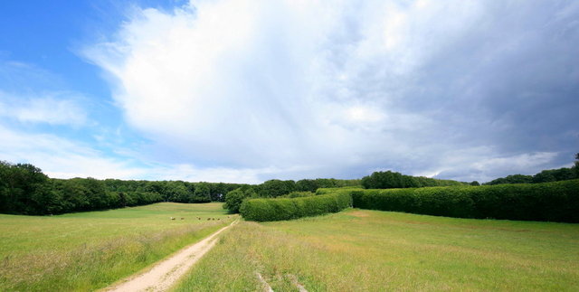 oosterbeek, landgoed mariendaal