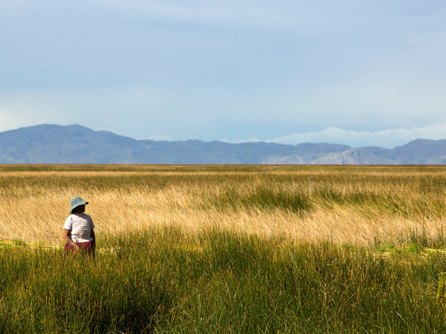 IslandsOfTiticaca_AK40.jpg