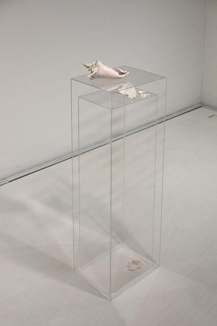 Pure Sound (Restoration), conch shell, plexiglas, 2013 | Photo: Jaebeom Kim