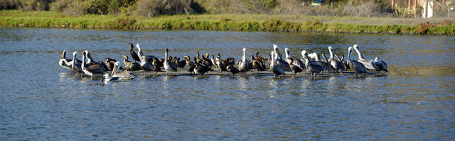 Malibu Nature Reserve Panorama VB.JPG