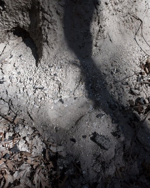ash.jpg