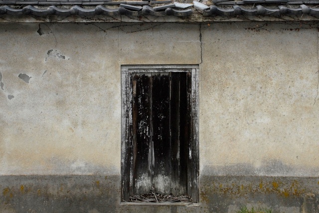Ton van Bragt: The Side Door