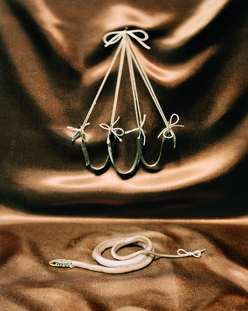 astin_shrader_02.jpg