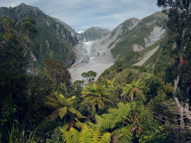 2015_NewZealand_FoxGlacier_comp.jpg