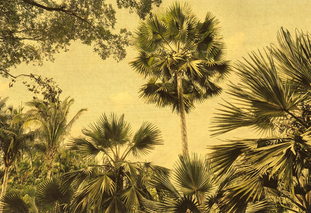 TROPICAL-FOREST-OHNE-RAHMEN Kopie 10.jpg