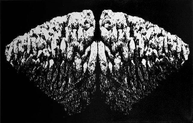 Windungen - Flügel, 2010, 110x170cm2.scharf.jpg