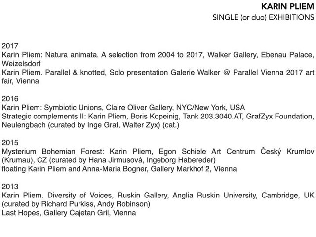 cv Karin Pliem, 17.05.2023.005.jpeg