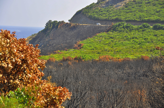 Haute-Corse, août 2011