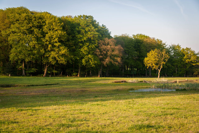 _MG_3397.jpg