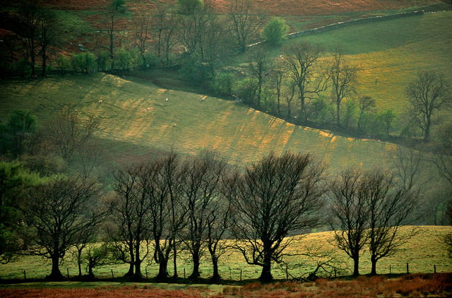 Parc national des Brecon Beacons,2002.