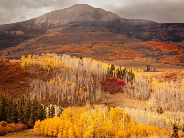 Little Cone, Aspens and Oaks