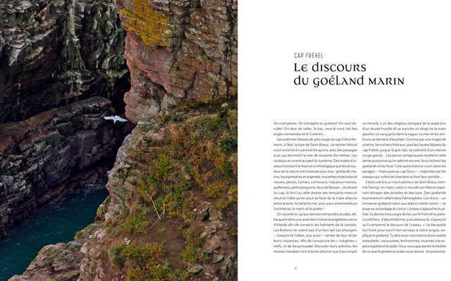 UNE-BRETAGNE-DES-LEGENDES-INT-v3-1c4juin-16.jpg