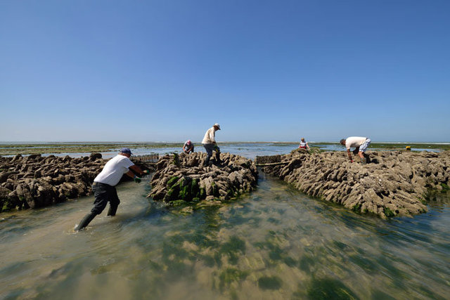 La Caloge, écluse à poissons de la Pointe du Grouin‐du‐Cou à La Tranche‐sur‐Mer‐Vendée