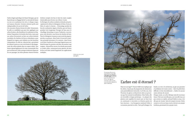 MAQ_ARBRES3-6.jpg