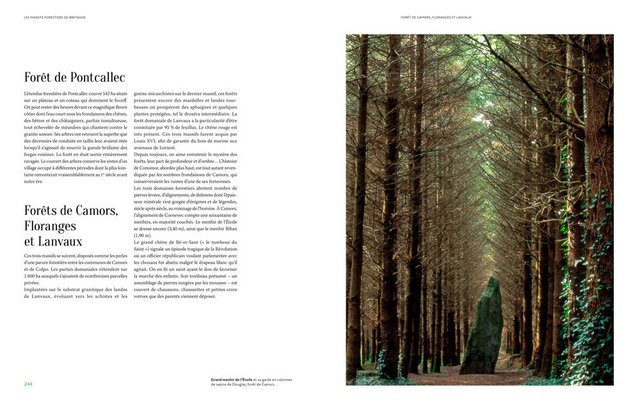 MAQ_ARBRES3-17.jpg