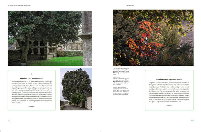 MAQ_ARBRES3-8.jpg