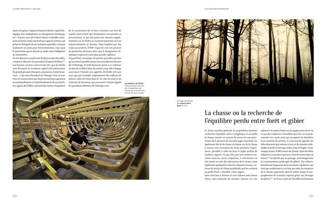 MAQ_ARBRES3-12.jpg
