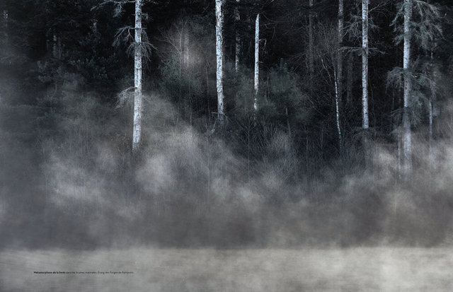 MAQ_ARBRES-1.jpg