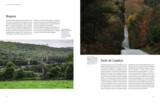 MAQ_ARBRES3-11.jpg