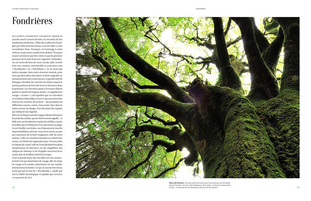 MAQ_ARBRES3-2.jpg