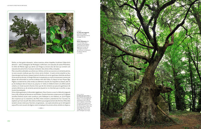 MAQ_ARBRES3-10.jpg