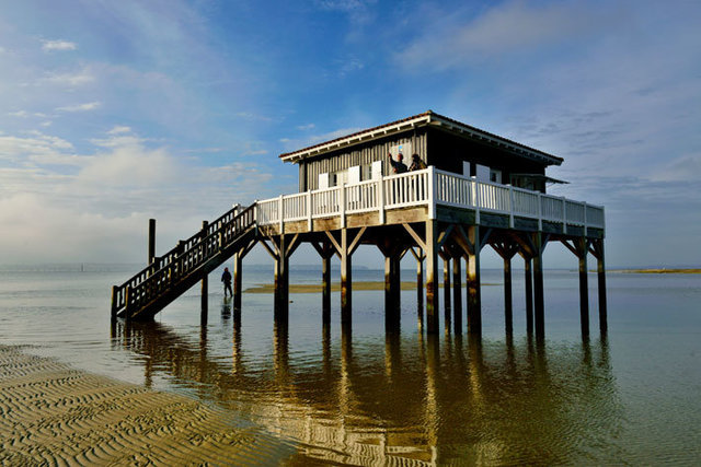 Cabane Tchanquée n°53 à La Teste‐de‐Buch ‐ Gironde