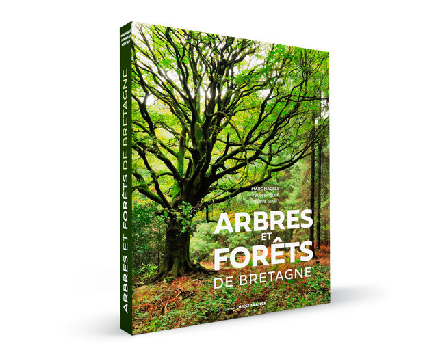 ARBRES et FORÊTS DE BRETAGNE