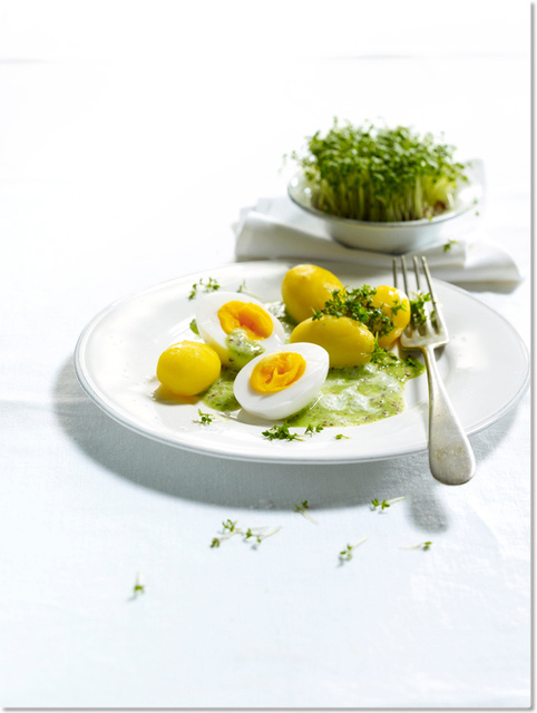 Magazin: Healthy Living