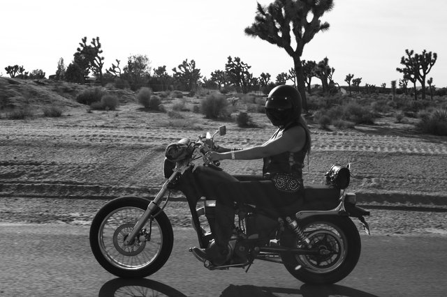 IMG_5744_B&W.jpg