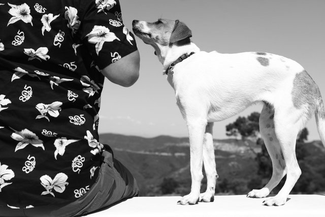 IMG_6792_B&W.jpg