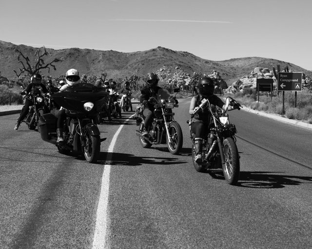 IMG_8451_B&W.jpg