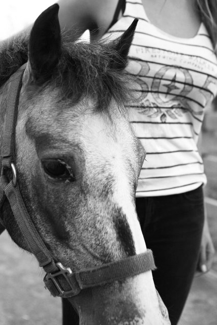 IMG_5077_B&W.jpg