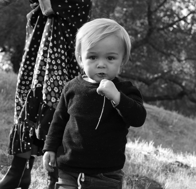 IMG_0047_B&W.jpg