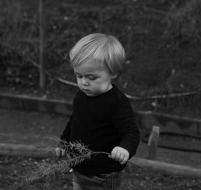 IMG_9099_B&W.jpg
