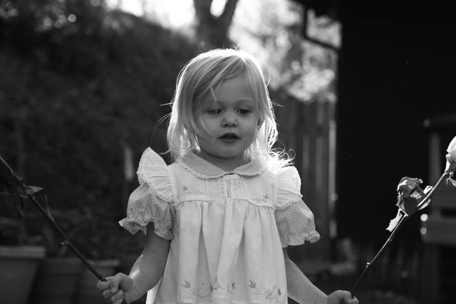 IMG_9088_B&W.jpg
