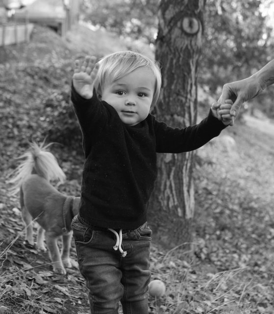 IMG_9501_B&W.jpg