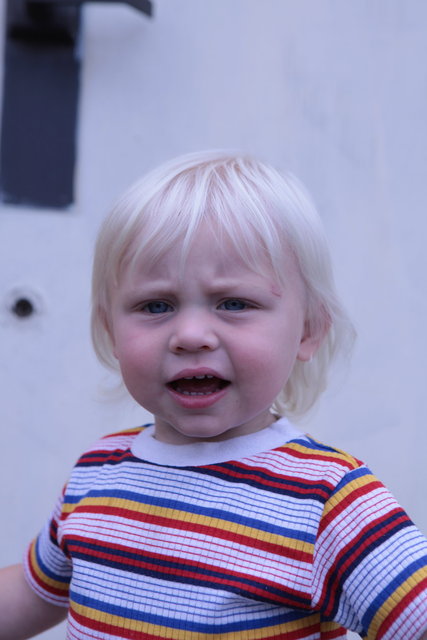 IMG_9980.JPG