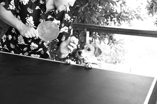 IMG_6972_B&W.jpg