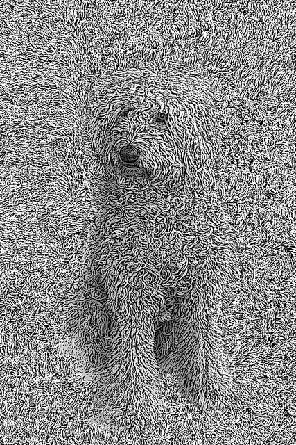 00024_nocat.jpg