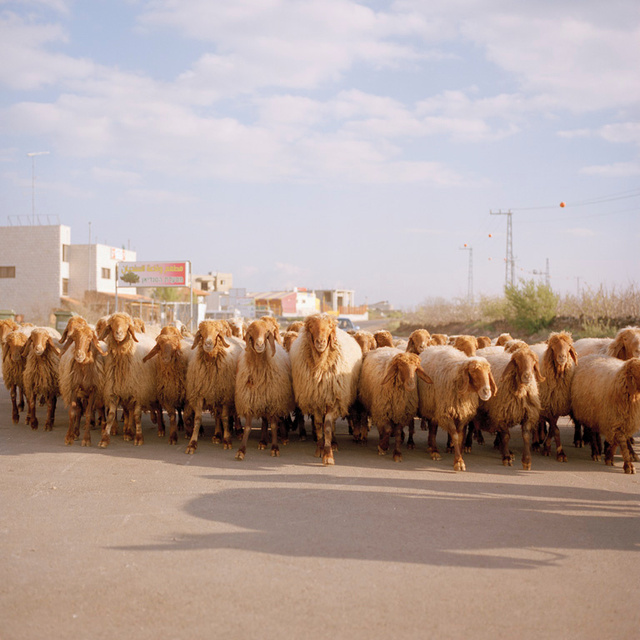 Rozovsky_One to Nothing_33.jpg