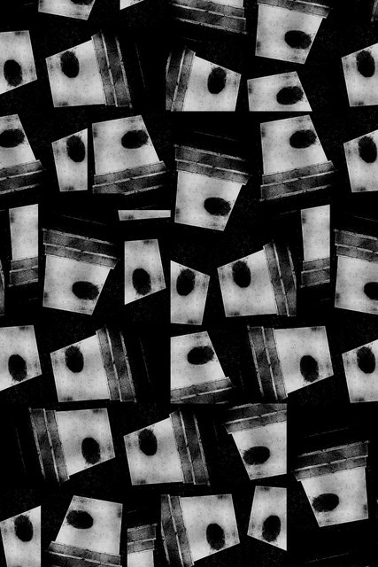 Collagedefcr1.jpg