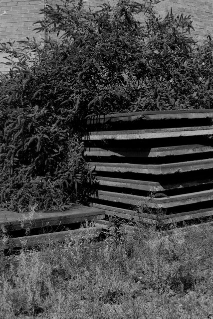XP2_1005pc1.jpg