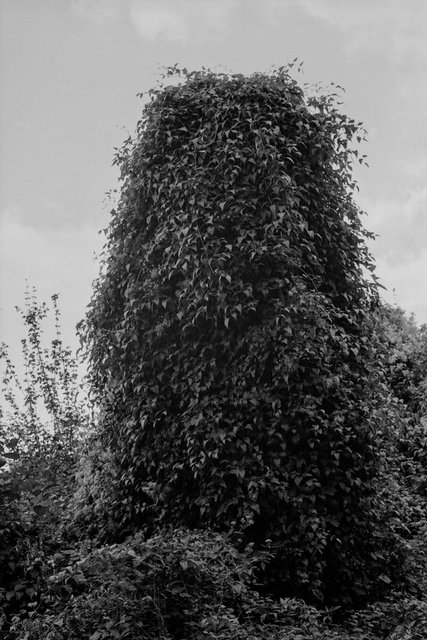 xp2_280.jpg
