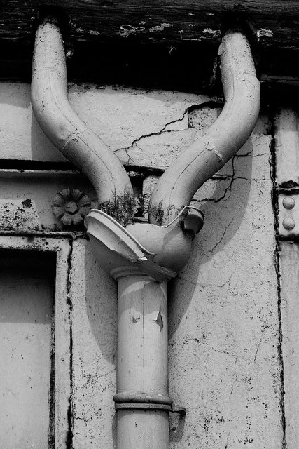 XP2_0909pc1.jpg