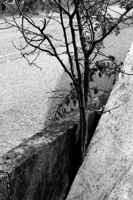 XP2_0914pc1.jpg