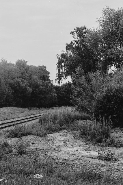 XP2_0906pc1.jpg