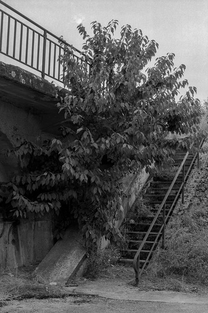 xp2_170.jpg