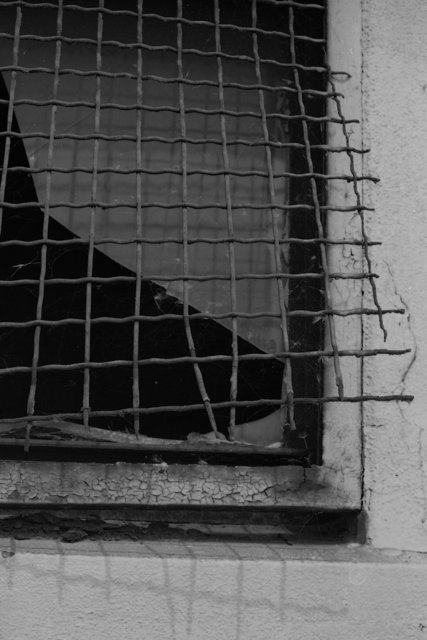 XP2_0910pc1.jpg
